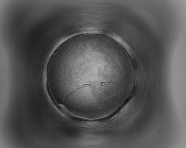 X0000100481383200806131221