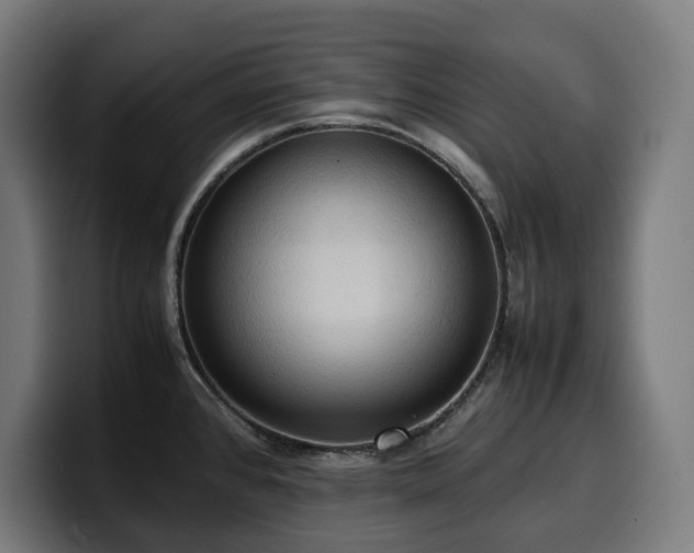 X0000100481384200806131221