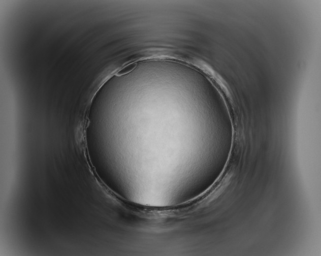 X0000100481385200806131221