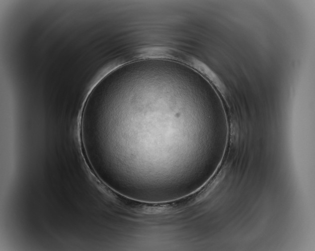 X0000100481386200806131221