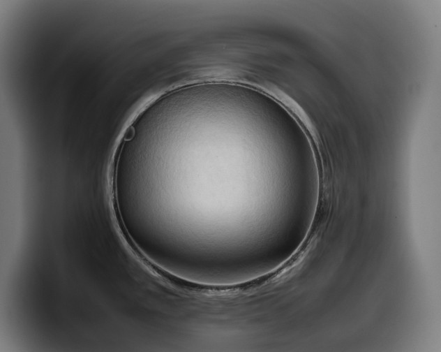 X0000100481389200806131221