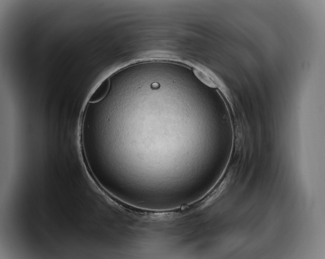 X0000100481390200806131221