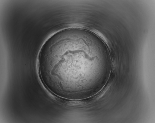 X0000100481391200806131221