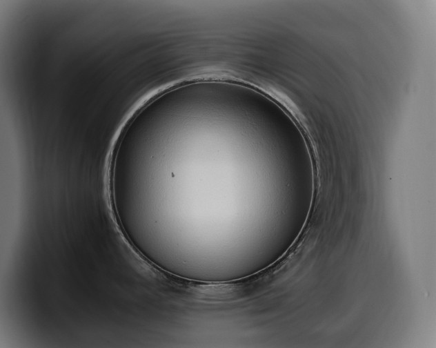 X0000100481392200806131221