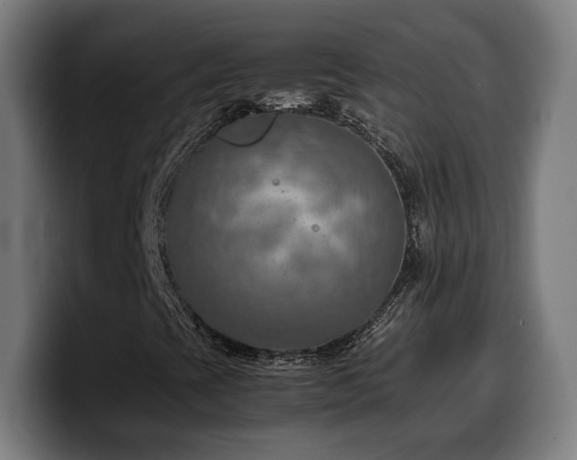 X0000100481393200806131221