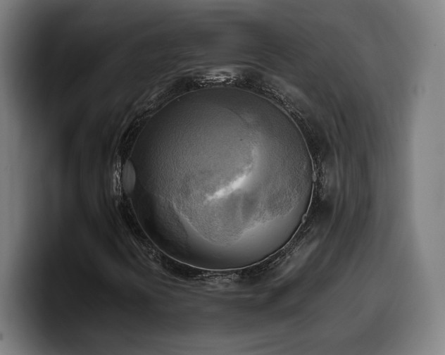 X0000100481394200806131221