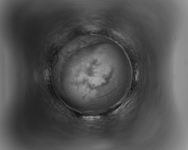 X0000100481397200806131221