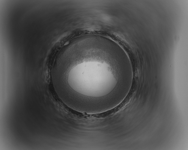 X0000100481398200806131221
