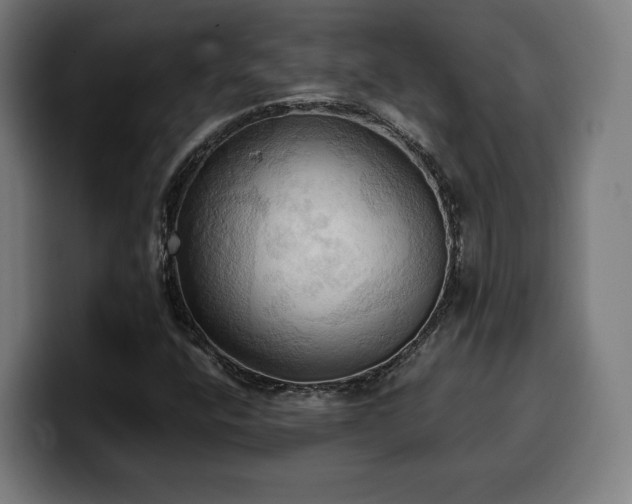 X0000100481400200806131221