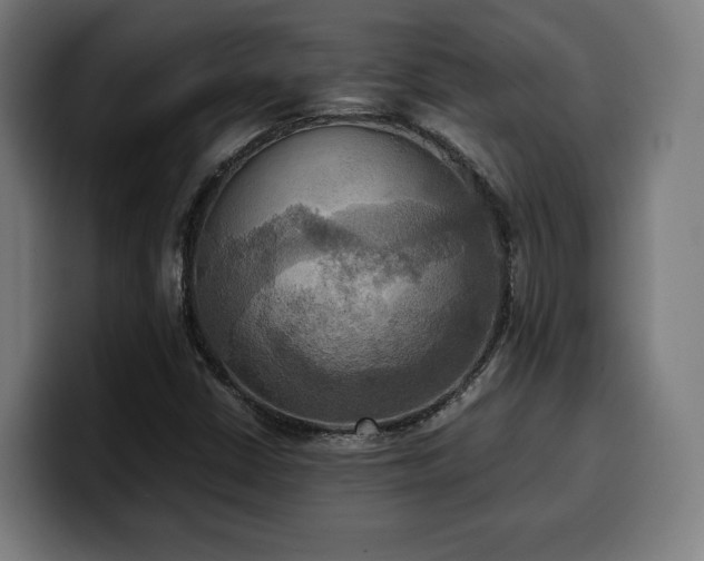 X0000100481402200806131221