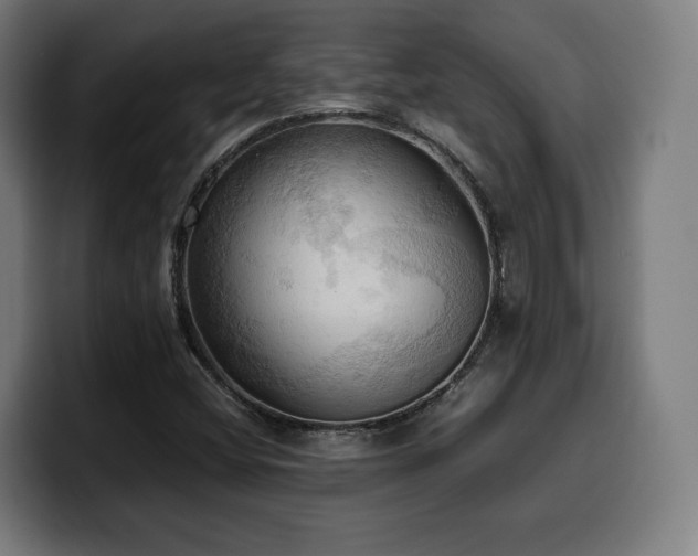 X0000100481404200806131221
