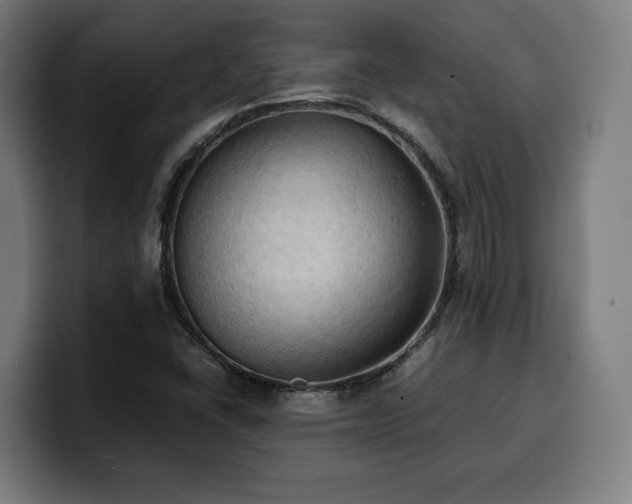 X0000100481406200806131221