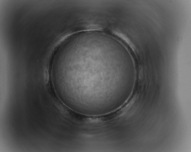 X0000100481407200806131221