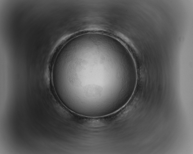X0000100481408200806131221
