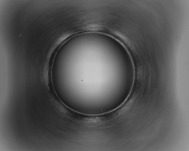 X0000100481410200806131221