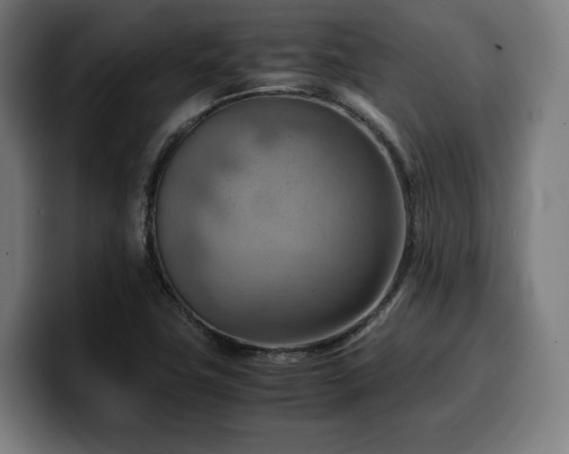 X0000100481411200806131221