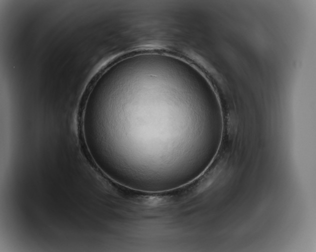 X0000100481412200806131221