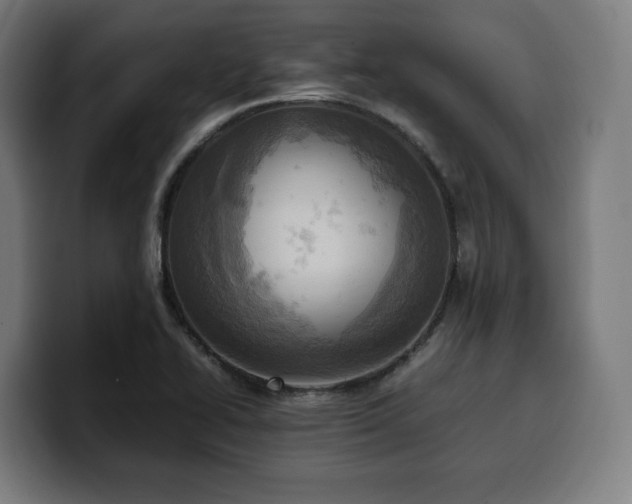 X0000100481414200806131221