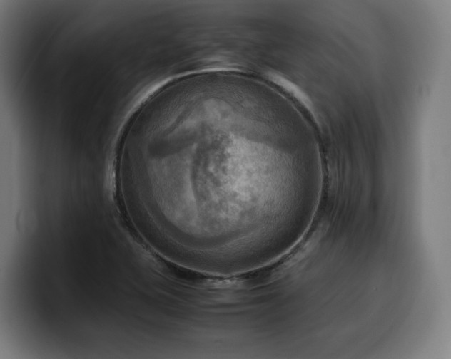 X0000100481415200806131221
