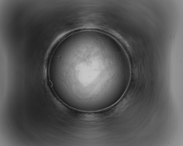 X0000100481416200806131221