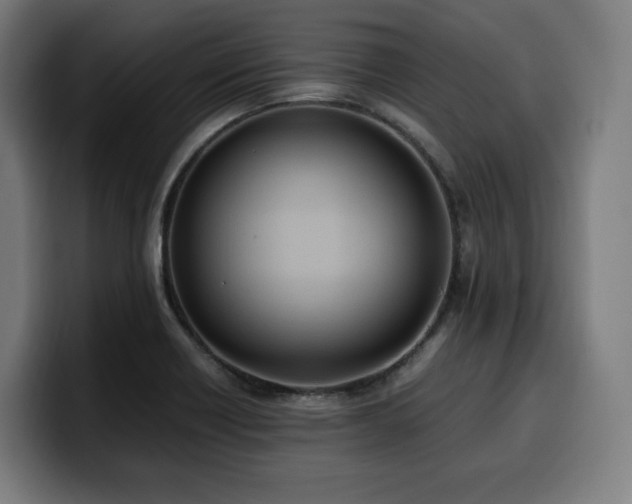 X0000100481418200806131221
