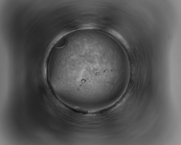 X0000100481419200806131221