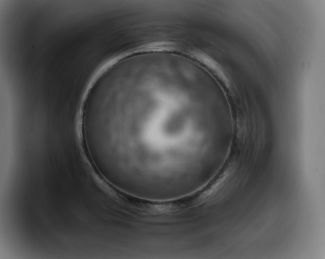 X0000100481421200806131221