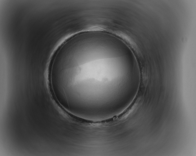 X0000100481422200806131221