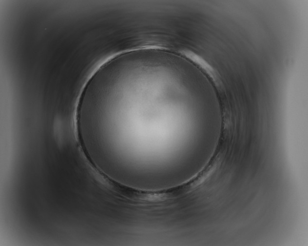 X0000100481423200806131221
