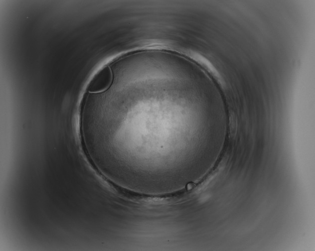 X0000100481424200806131221