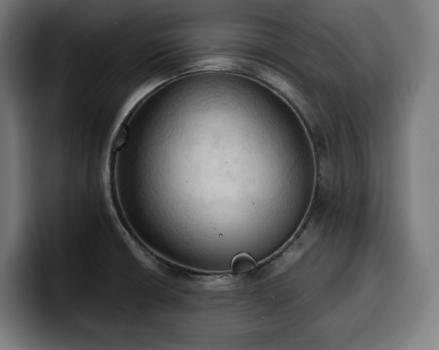 X0000100481426200806131221