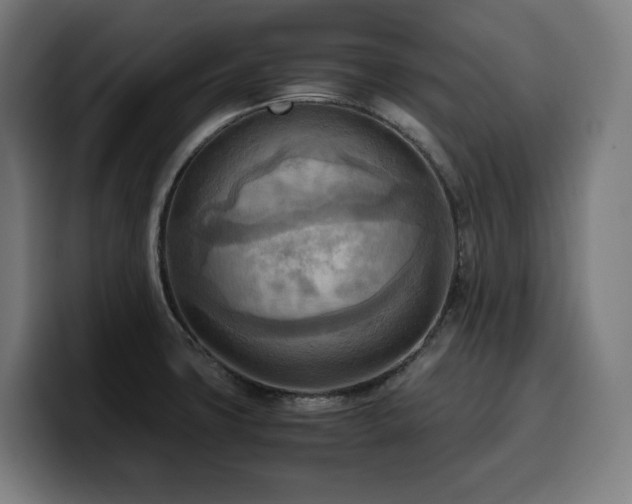 X0000100481427200806131221