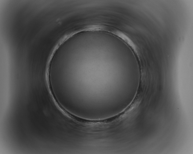 X0000100481429200806131221