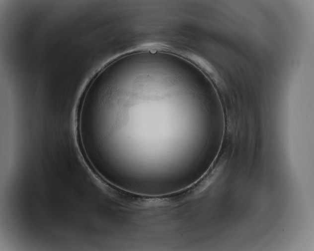 X0000100481430200806131221