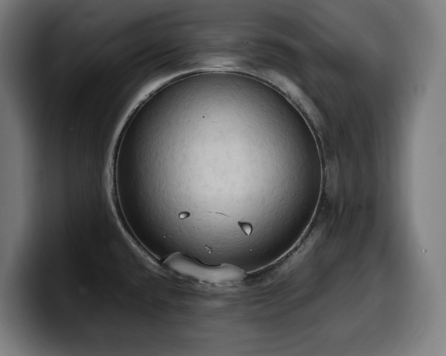 X0000100481432200806131221