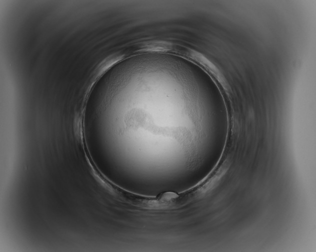 X0000100481433200806131221
