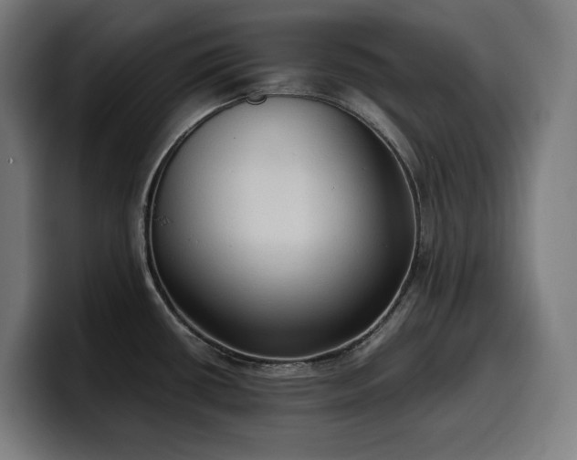 X0000100481434200806131221