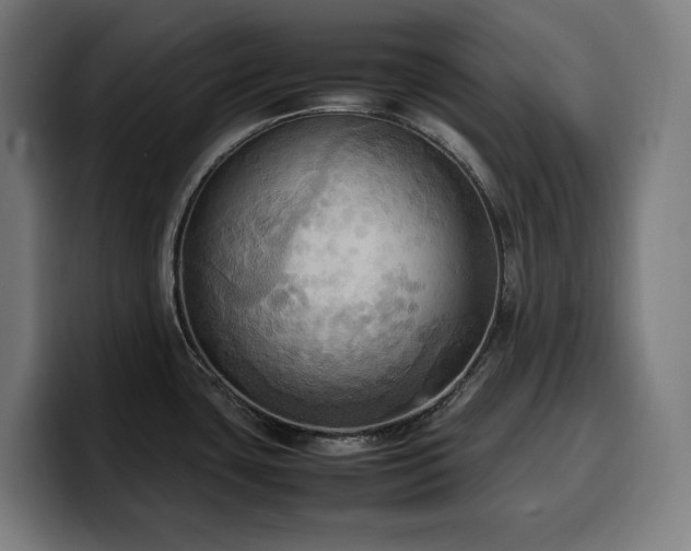 X0000100481435200806131221