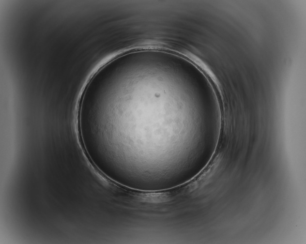 X0000100481437200806131221