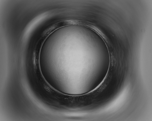 X0000100481438200806131221
