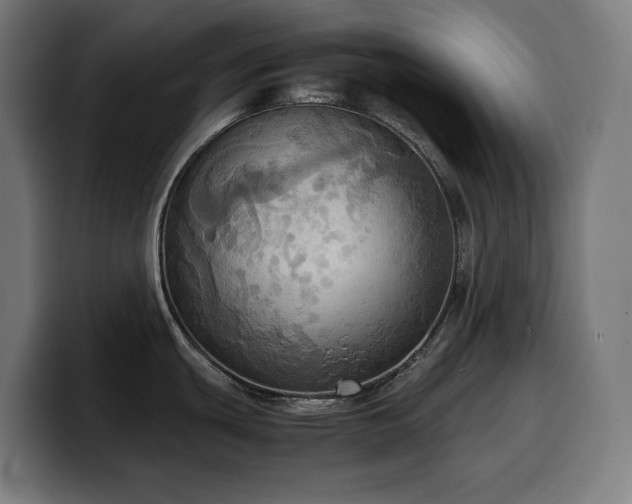 X0000100481439200806131221