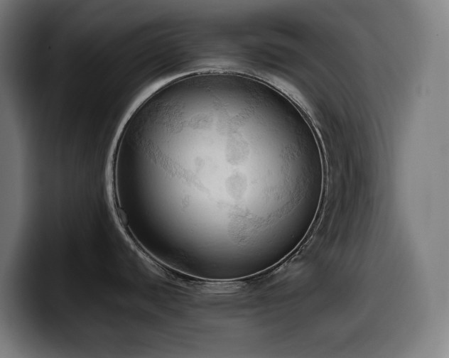 X0000100481440200806131221