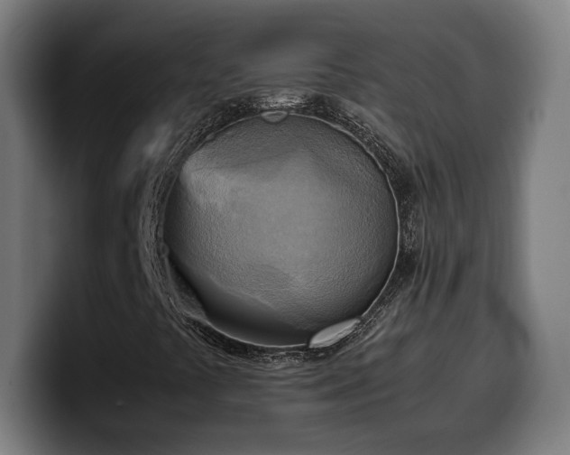 X0000100481441200806131221