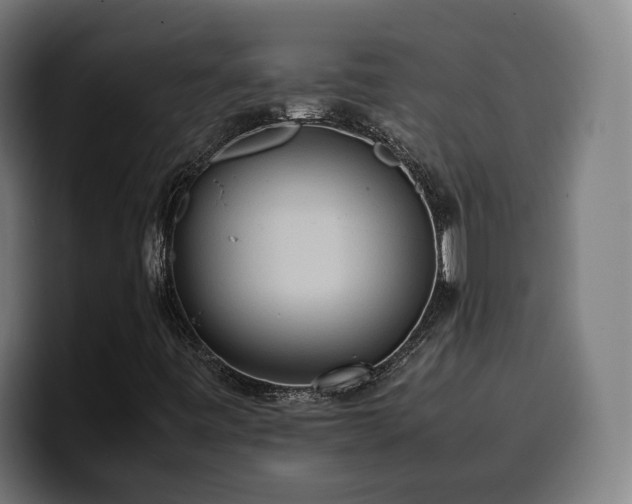 X0000100481443200806131220