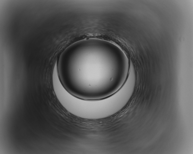 X0000100481444200806131220