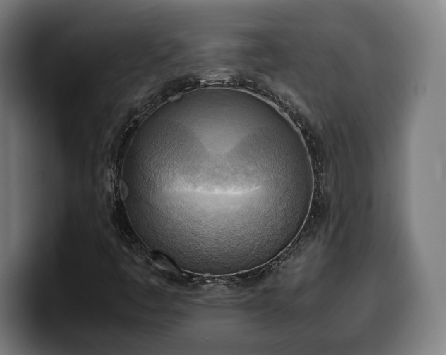 X0000100481445200806131220