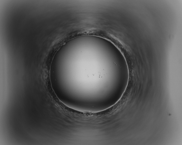 X0000100481447200806131220