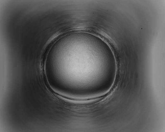 X0000100481450200806131220