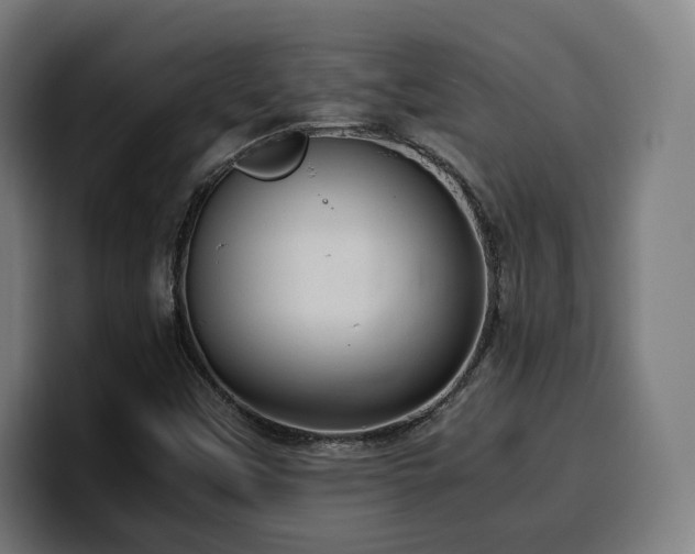 X0000100481451200806131220
