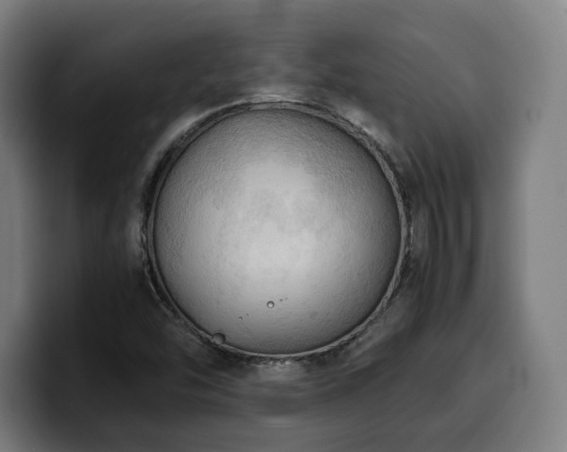 X0000100481454200806131220